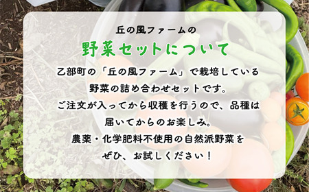 ＜丘の風ファーム 旬野菜詰め合わせセット＞
