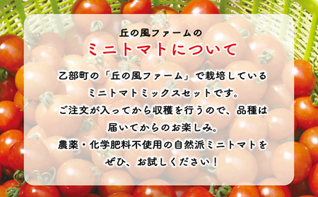 ＜丘の風ファーム ミニトマトミックス2個セット＞