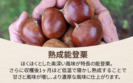 【先行予約】東井栗園の能登熟成栗 1.5kg（4Lサイズ）