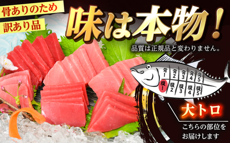  金太郎 マグロ 冷凍 大トロ 約800g [RAC030]