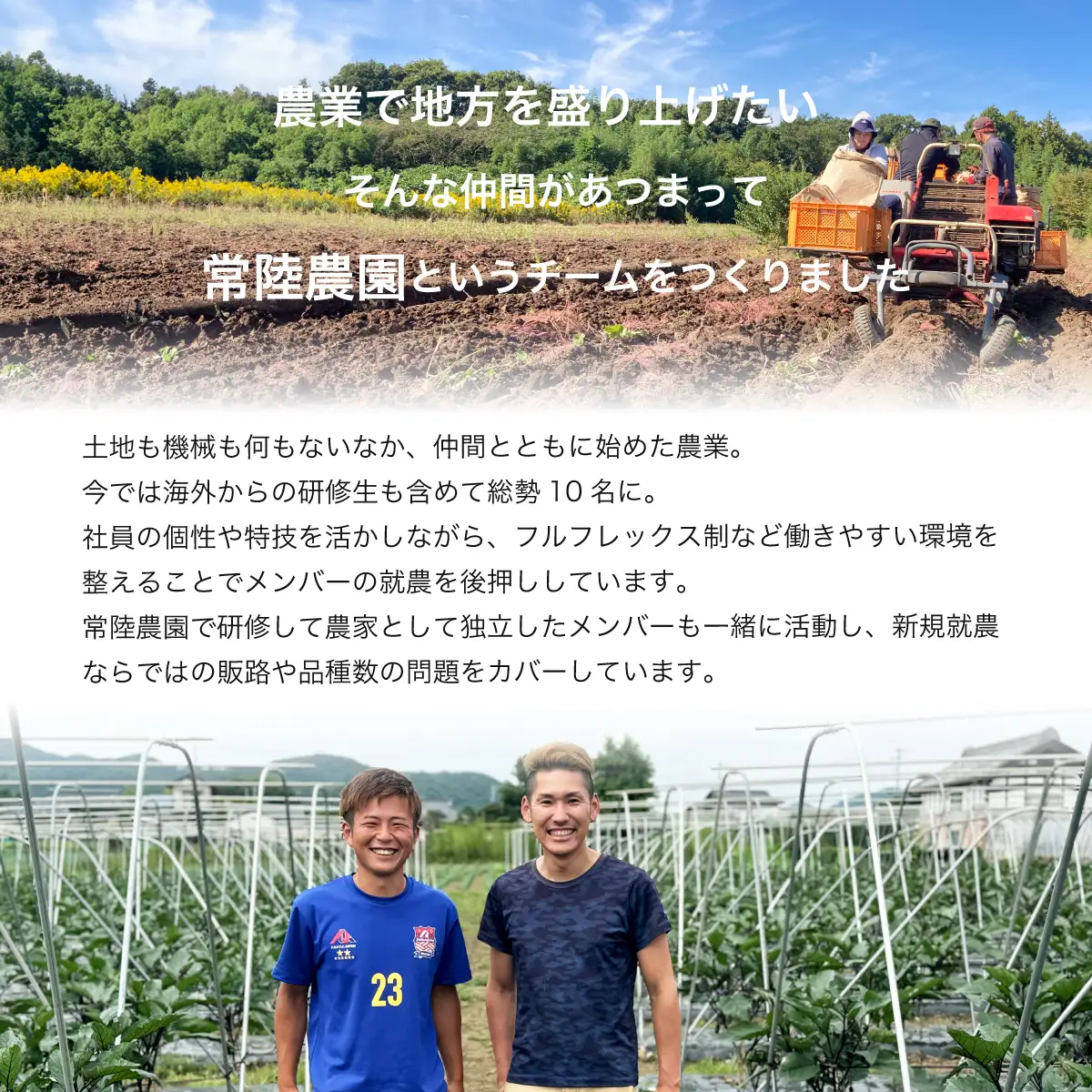 干し芋 R8年産 平干し2袋 丸干し2袋 合計1000g | 干し芋