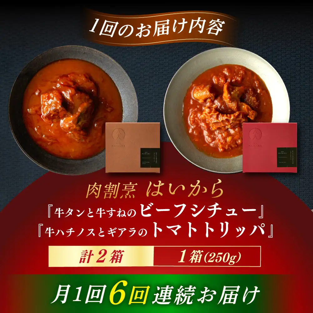【6回定期便】『牛タンと牛すねのビーフシチュー』『牛ハチノスとギアラのトマトトリッパ』[AUFI024]レトルトレトルトレトルトレトルトレトルト