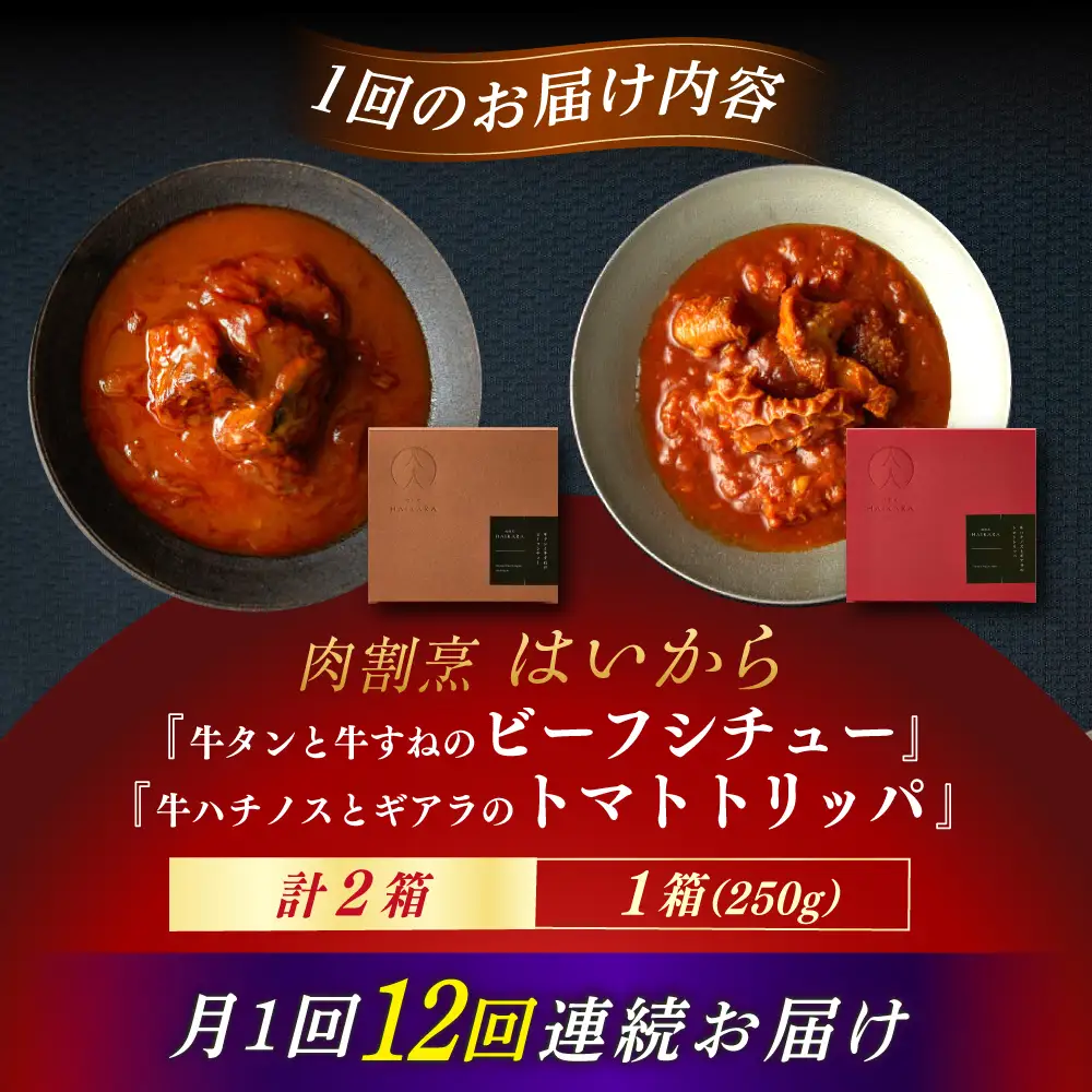 【12回定期便】『牛タンと牛すねのビーフシチュー』『牛ハチノスとギアラのトマトトリッパ』[AUFI025]レトルトレトルトレトルトレトルトレトルト