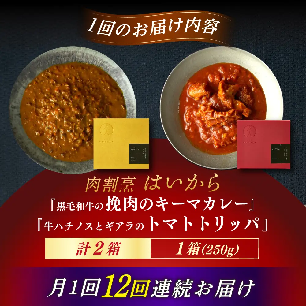 【12回定期便】『黒毛和牛の挽肉のキーマカレー』『牛ハチノスとギアラのトマトトリッパ』[AUFI046]レトルトレトルトレトルトレトルトレトルト