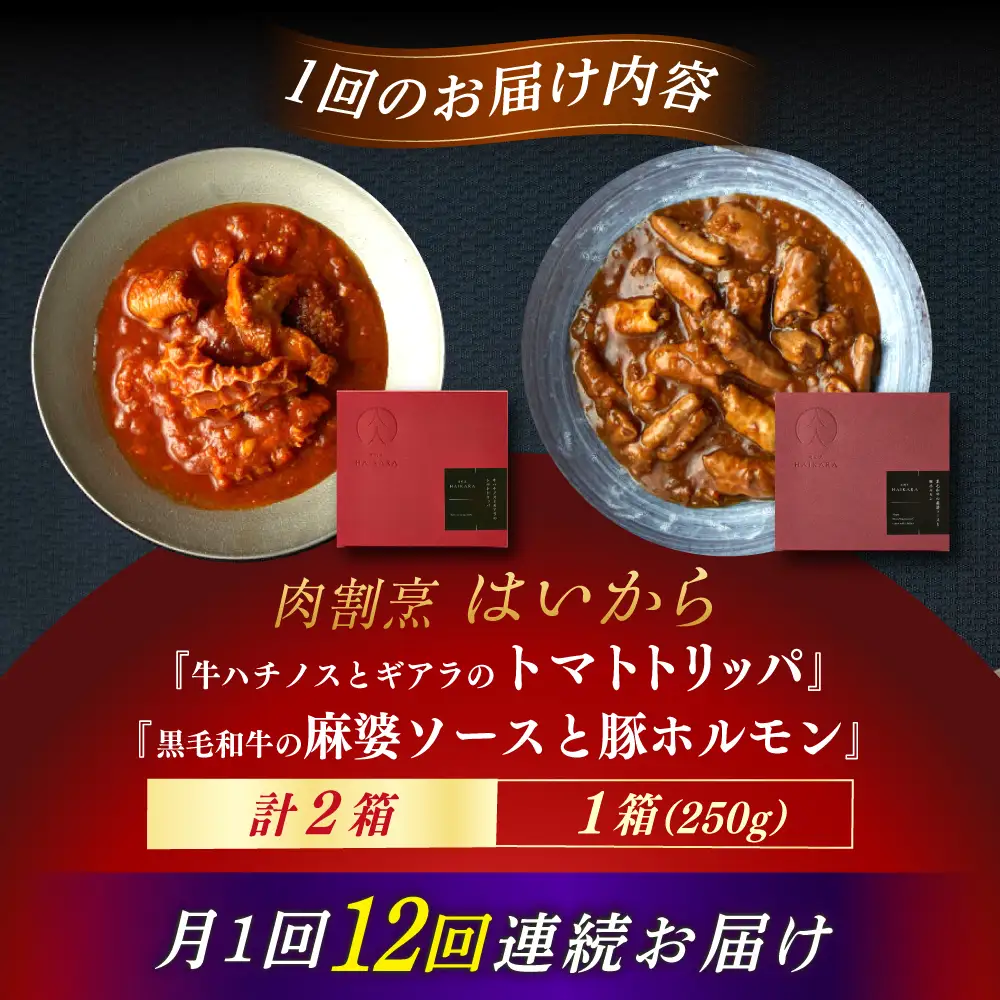 【12回定期便】『牛ハチノスとギアラのトマトトリッパ』『黒毛和牛の麻婆ソースと豚ホルモン』[AUFI052]レトルトレトルトレトルトレトルトレトルト