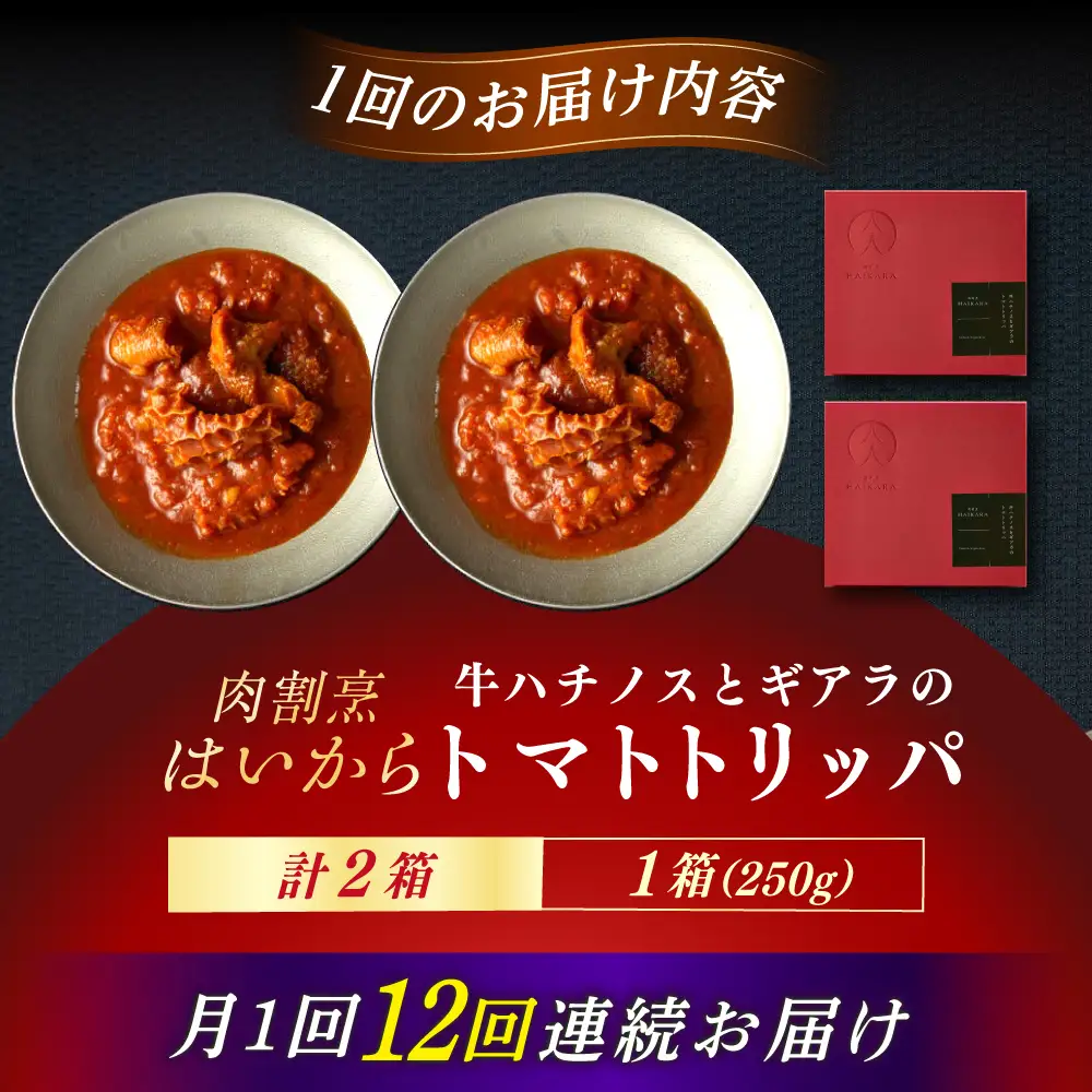【12回定期便】 『牛ハチノスとギアラのトマトトリッパ』2個セット [AUFI043]レトルトレトルトレトルトレトルトレトルト