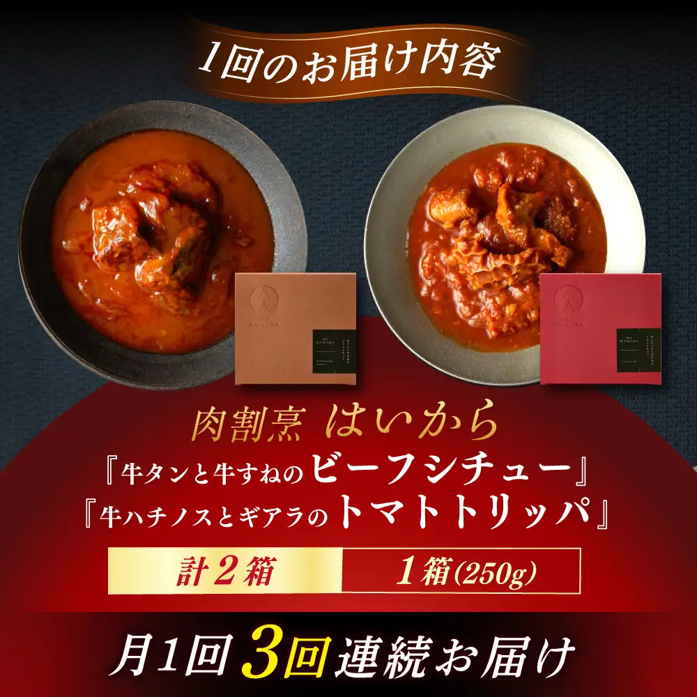 【3回定期便】『牛タンと牛すねのビーフシチュー』『牛ハチノスとギアラのトマトトリッパ』[AUFI023]レトルトレトルトレトルトレトルトレトルト