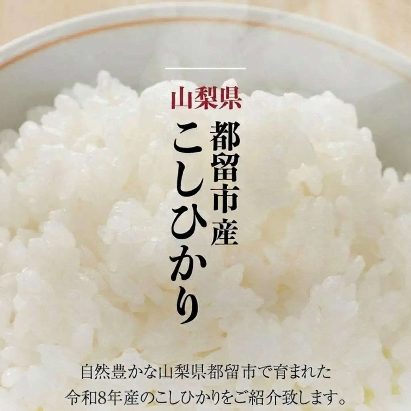 【山梨県都留市産こしひかり 10kg】【令和8年産】白米 精米 ブランド米 山梨県産 米 こしひかり