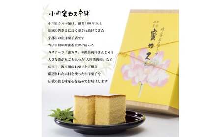 懐中しるこ 2種 8個入り おしるこ ふぐ BTBN018