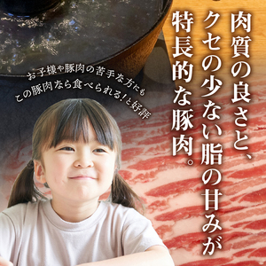 甲州乳酸菌豚クリスタルポークしゃぶしゃぶセット 2kg（バラ 1kg+ロース 1kg） ポーク しゃぶしゃぶ