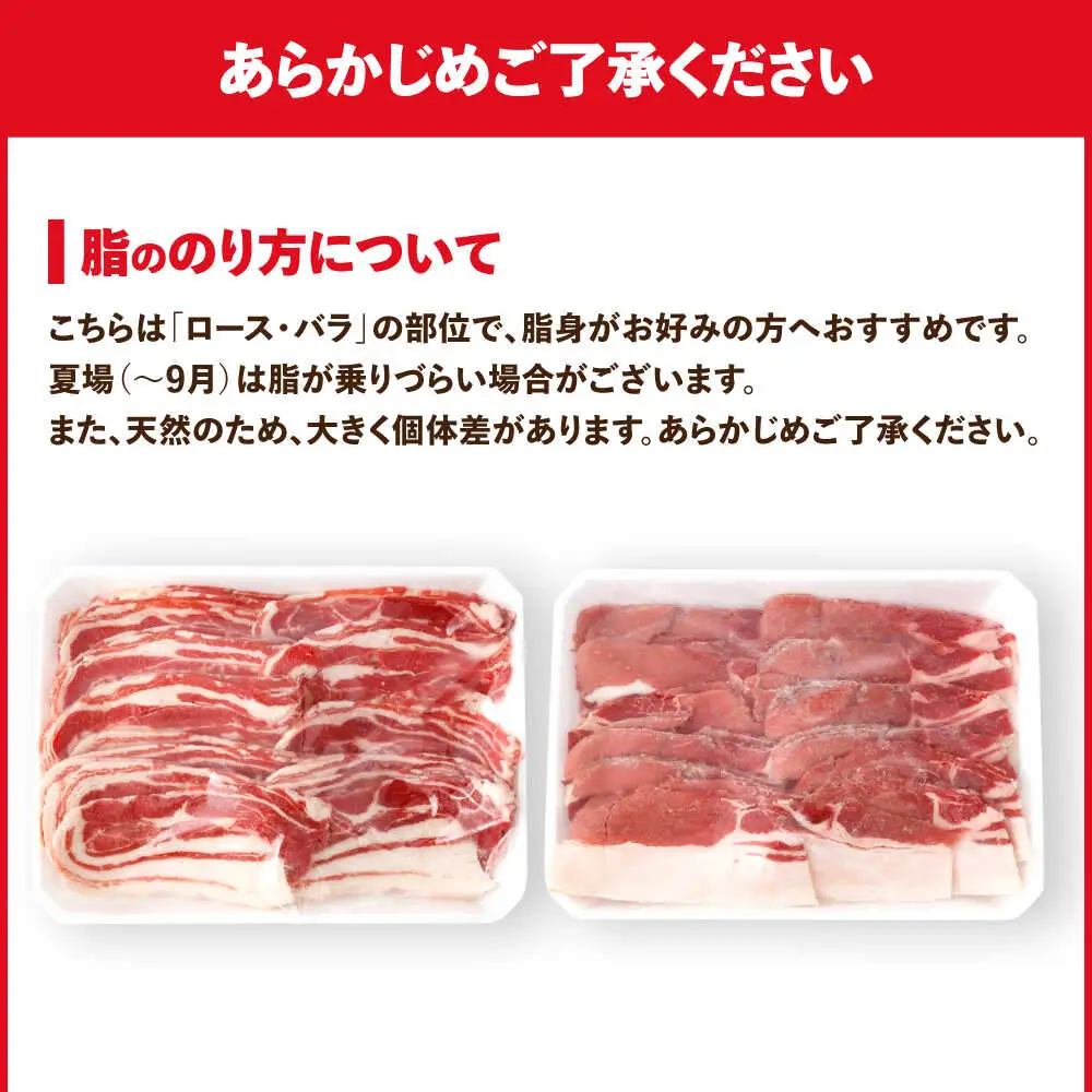 ジビエ 猪肉 スライス 1kg 雲仙いのしし / 肉 イノシシ ジビエ いのしし 焼肉 ぼたん鍋 いのしし肉 イノシシ肉 ジビエ いのしし 切り落とし 猪肉 猪 長崎県猪 九州産猪 長崎県産猪 ジビエ肉 低カロリー BBQ バーベキュー 冷凍 / 南島原市 / もりのめぐみ [SDB011]