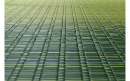 掛川織り福岡花ござ「大自然」草原（6畳　261×352cm）　AA310