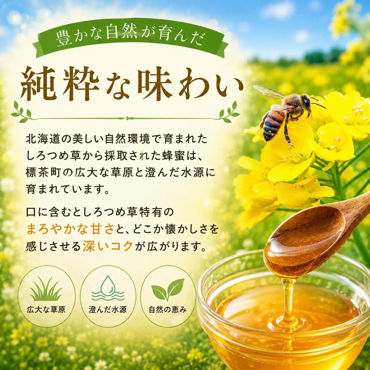 北海道標茶町産　しろつめ草の蜂蜜 （300g×2本）　|  はちみつ はちみつ