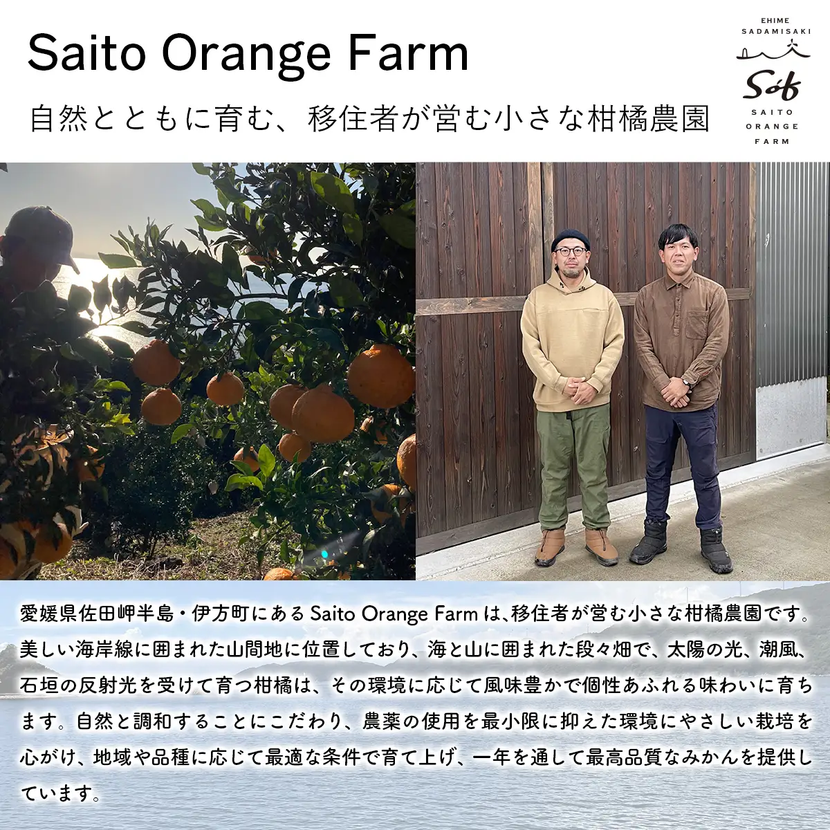 Saito Orange Farm 清見720ml×2本セット IKTAQ025