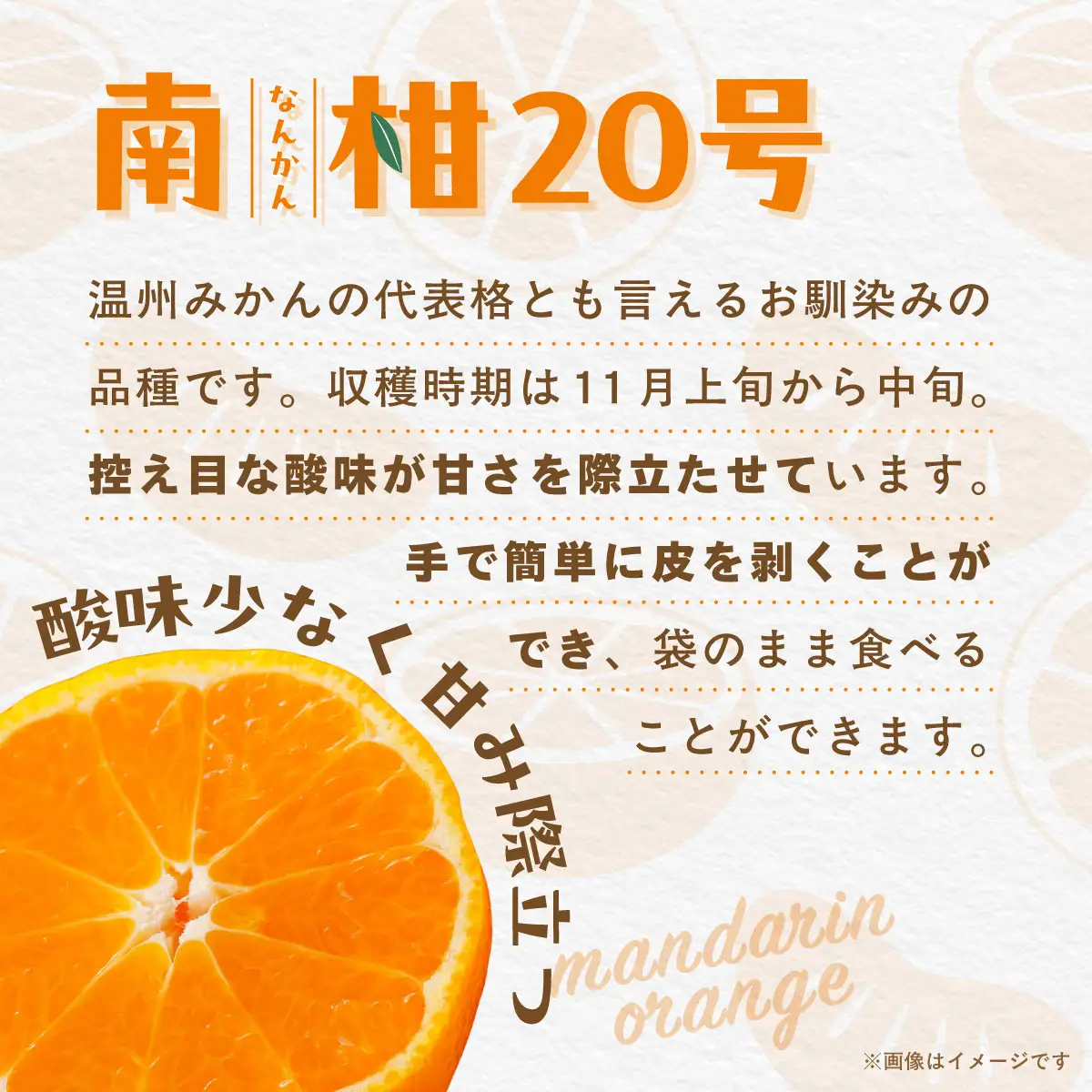 【先行受付】【数量限定】南柑20号（生果）5kg（2026年12月上旬頃より順次発送） IKTQ006