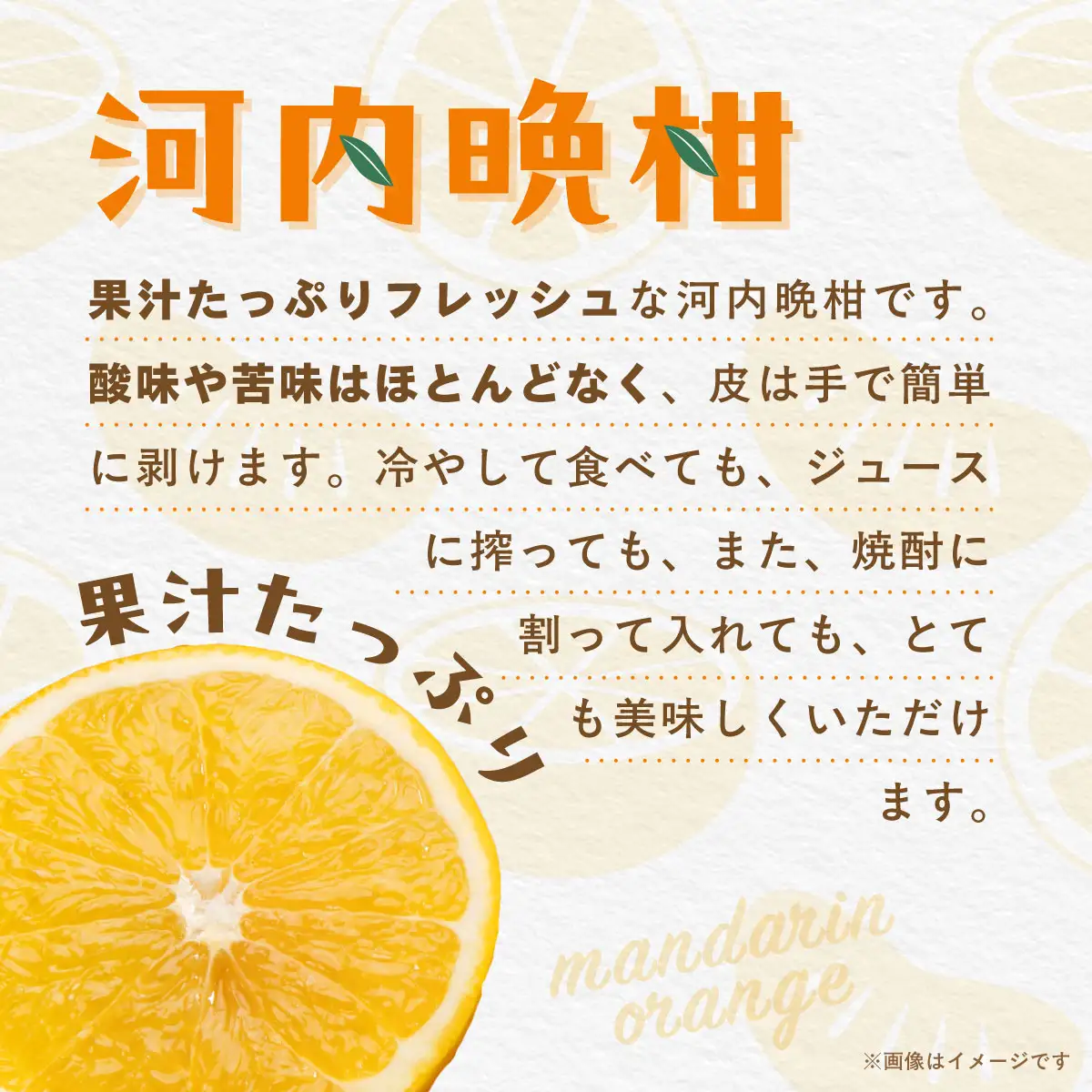 【先行受付】【数量限定】【家庭用】河内晩柑（生果）8kg（2027年5月中旬頃より順次発送） IKTQ008