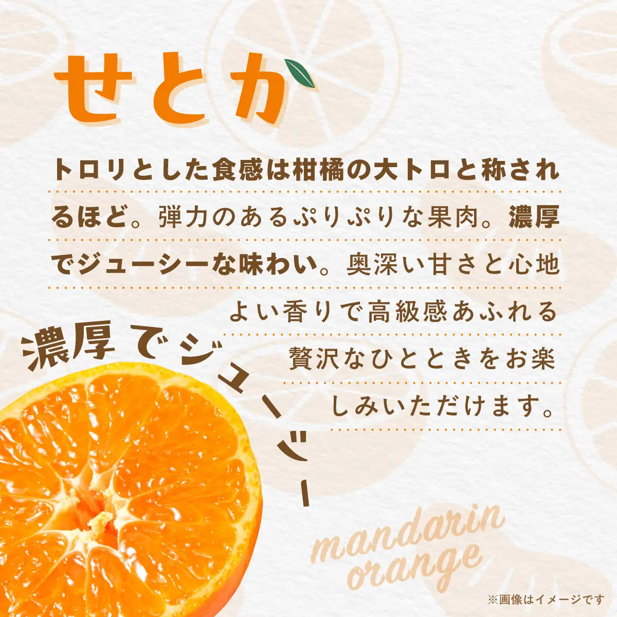 【先行受付】【数量限定】【贈答用】せとか（生果）3kg（2027年2月頃より順次発送） IKTQ009