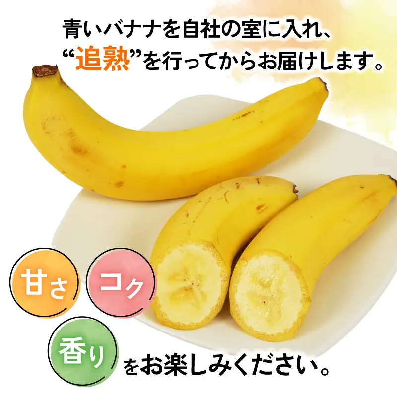 【果物】熟サンテーラバナナ約3kg徳田青果果物|F010-194001