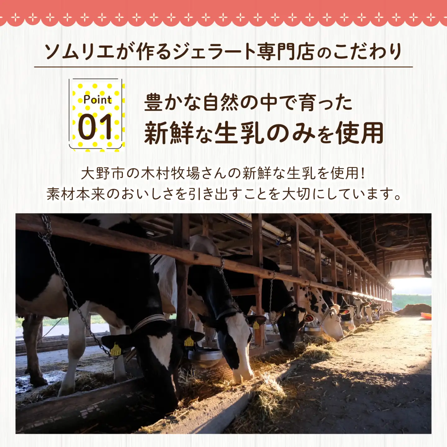 越前大野の「名水育ち生乳ジェラート」おまかせ 6個セット