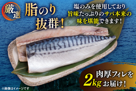 サバ フィレ 切り身 2kg 