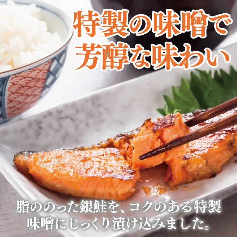ごはんがすすむ！鮭の味噌漬け 800g（80g×10枚）