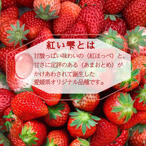 【2026年7月下旬から発送】紅い雫 冷凍イチゴ 1.5kg いちご 冷凍【WN0036】