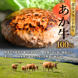 オアシス九州 熊本県産あか牛ハンバーグ150ｇ×５個 _U117-0048