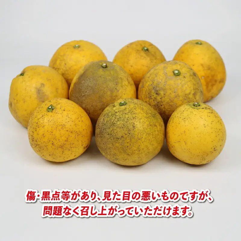 河内晩柑 9kg 愛媛みかん 兵頭農園 愛媛みかん B012-055009