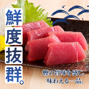 一本釣り刺身用かつお (a10-864)