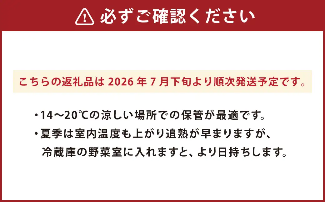 やっちろバナナ（汐バナナ）10本セット 【2026年7月下旬発送開始】