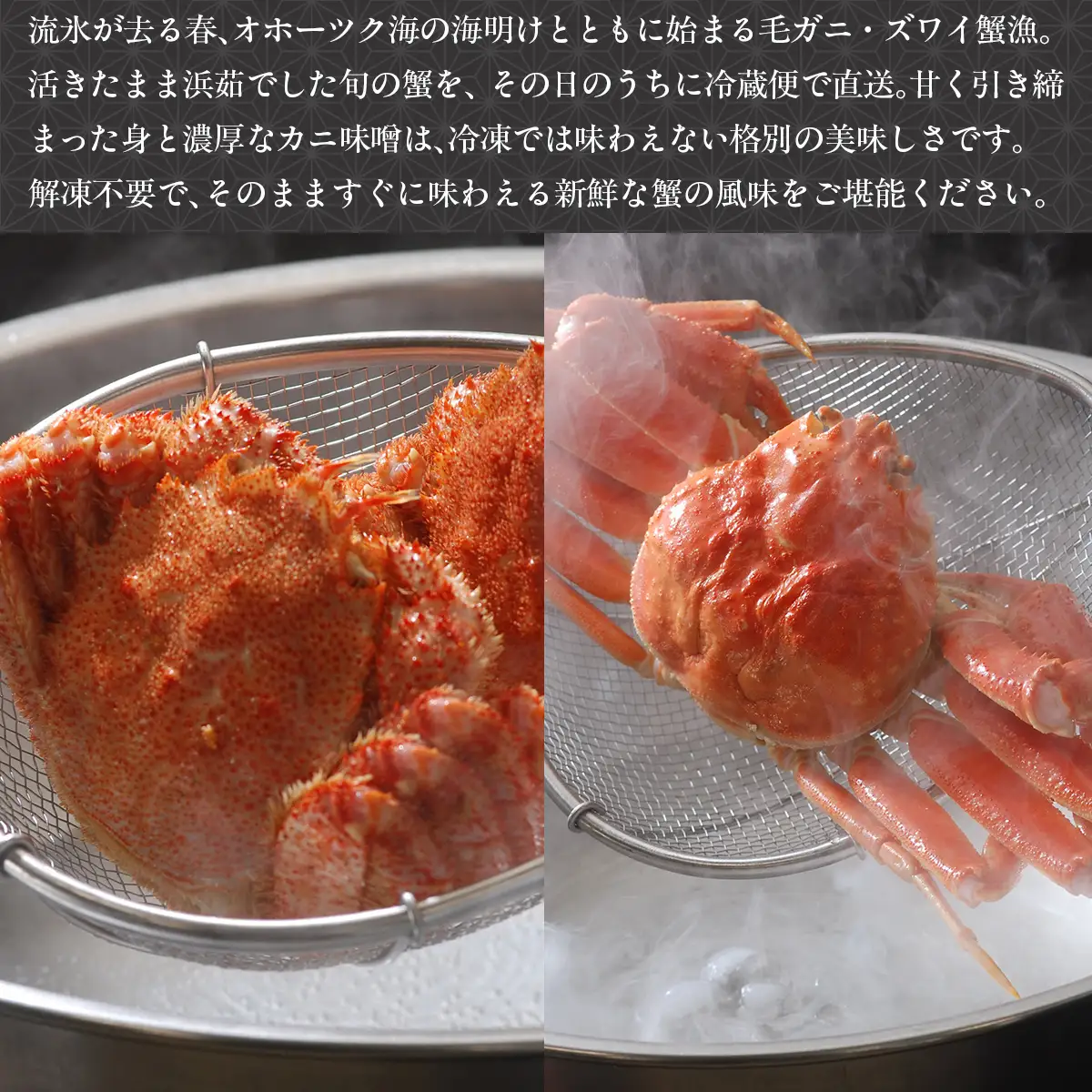 【先行予約】茹で毛蟹・茹でズワイ蟹2尾で約1.5kg冷蔵便届け【2027年4月～順次発送開始予定】 ABAO114