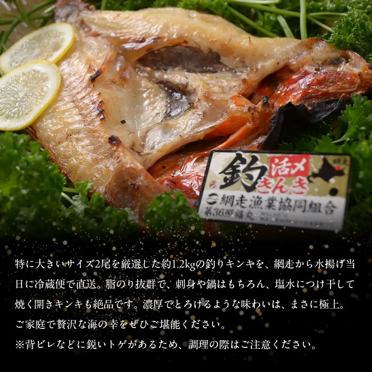 【先行予約】【冷蔵届け】網走産釣りキンキ【2尾で約1kg】（2026年4月中旬頃～11月下旬頃発送） ABAO116