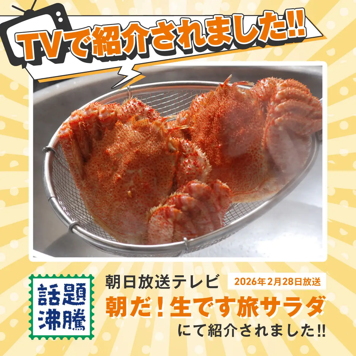 【訳あり】活〆茹で毛蟹1尾 約300g 【ふるさと納税 人気 おすすめ ランキング カニ かに 蟹 毛がに 毛蟹 毛ガニ 活〆 茹で 茹で毛ガニ 活〆毛ガニ 活〆毛がに 訳あり 海鮮 オホーツク 北海道 網走市 送料無料 】  ABAO2199