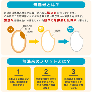 《先行予約》令和8年産 新米 無洗米 つきあかり 8kg（4kg×2袋）山形県産 【2026年9月下旬頃から順次発送予定】　025-C-JF036-R8