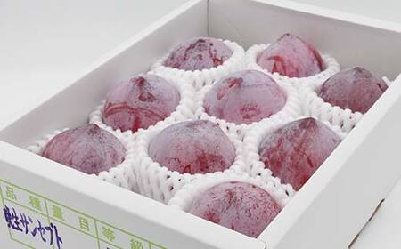 《2026年発送先行予約》中山町産クイーンマーキュリー 約1.2kg 7～13玉程度 秀 桃 もも フルーツ すもも スモモ 山形県産 F4A-0917
