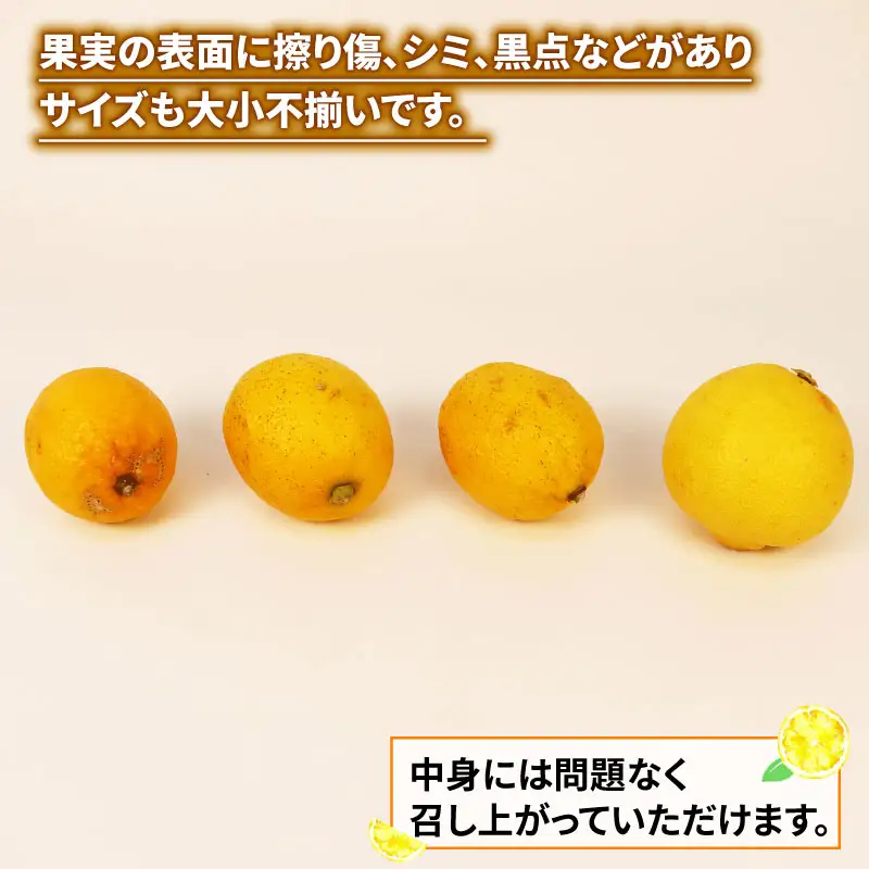 レモン 訳あり レモン 約5kg 南四国ファーム 国産 B010-035019
