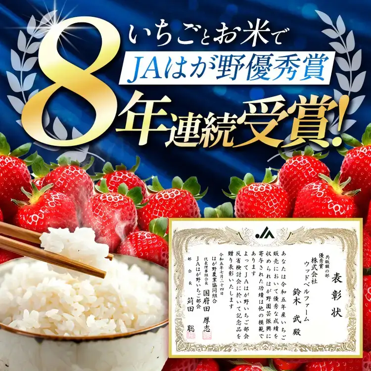 【栃木県共通返礼品】【先行予約】【11月発送分】令和8年度新米 栃木県産とちぎの星（玄米真空パック) 約2kg  | 栃木県 那珂川町 送料無料