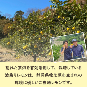 【先行予約 期間限定】 檸檬 ユーレカ 2kg レモン 檸檬