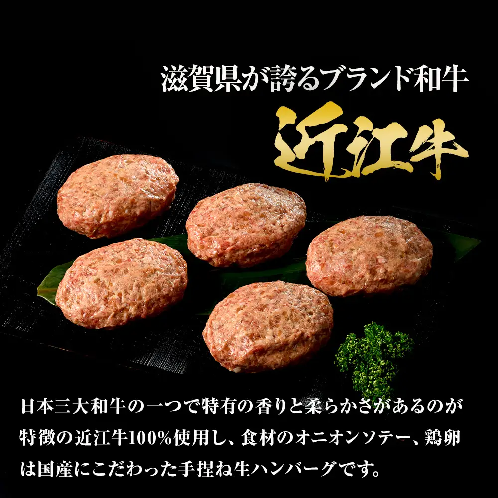 近江牛 生ハンバーグ 120g×5個入