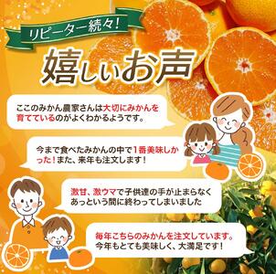薄皮で濃い甘さ！完熟由良みかん【秀】7.5kg×1箱（混サイズ）和歌山県由良産※2026年11月下旬頃から12月下旬頃に順次発送予定/ 柑橘 ミカン 蜜柑 甘い 由良町 フルーツ 果物 くだもの 食品 人気 おすすめ 産地直送 由良町【ktym004-p-7d5】