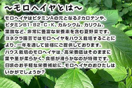 『先行予約』【12月上旬より順次発送】冬穫れハウスモロヘイヤ(100g×5袋)とアイスプラント(70g×5P)セット