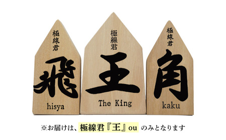 極線君『王』 ou ブラシ 掃除 エンボスブラシ ゴクセンクン オウ 超極細ステンレスブラシ コーナーブラシ 床洗浄ブラシ 日進市 愛知県
