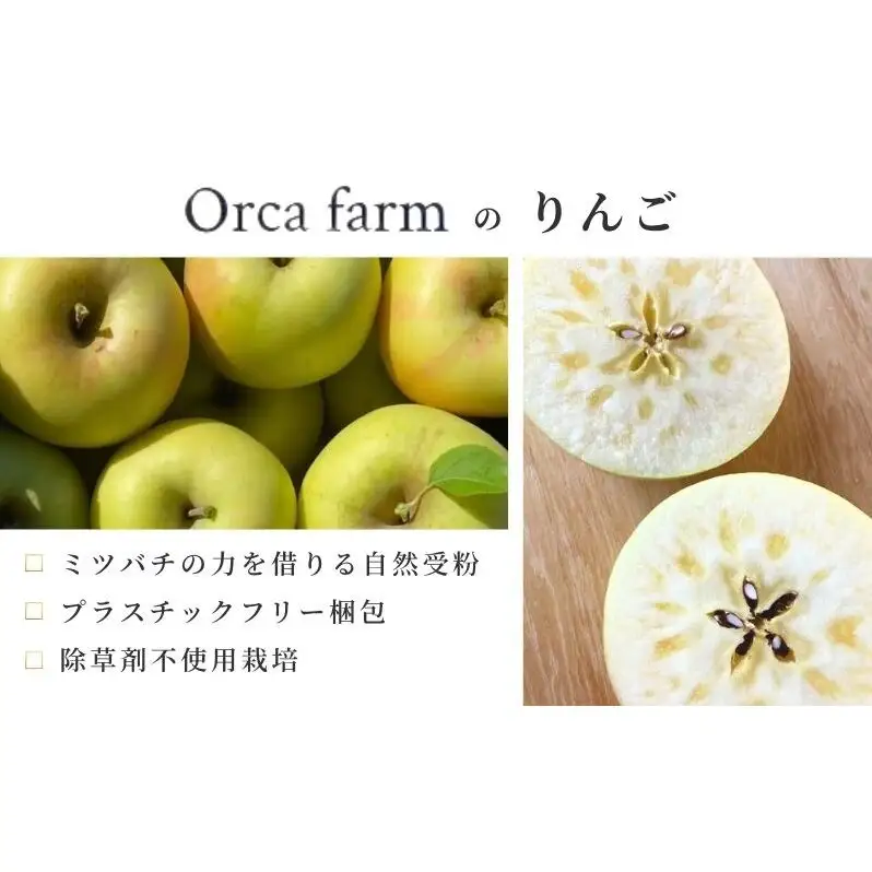 りんご ぐんま名月 5kg りんご