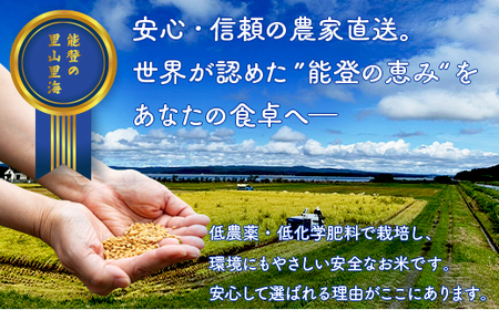 【発送時期が選べる】令和7年産 石川県能登産 こしひかり 玄米5kg （5kg×1個） | 米 ※2026年6月～発送