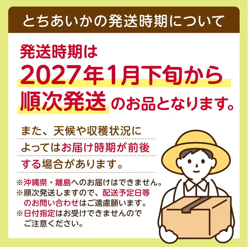 【先行受付】栃木県産　とちあいか約250ｇ×4パック【栃木県共通返礼品】【2027年1月下旬～発送予定】　ns120-001 いちご とちあいか 