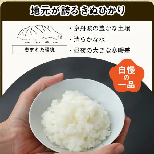 【12回定期便】きぬひかり 5kg 定期便 精米 白米