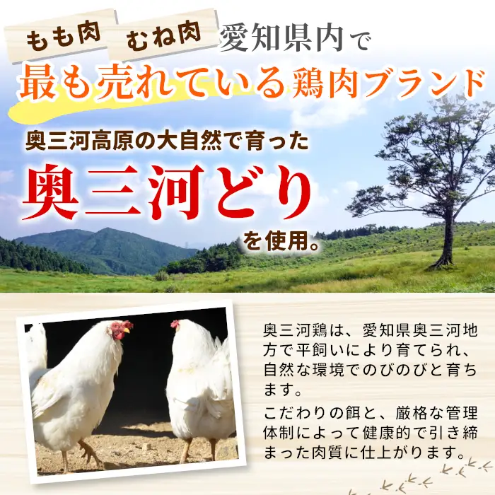 田口塩鶏 国産 若鶏味付け肉 3種セット 900g（もも肉250g×1・むね肉250g×1・せせり200g×２）もも肉 むね肉 塩ダレ 味付け肉 鶏肉 鶏 肉 奥三河どり キャンプ バーベキュー 味付け肉 大容量 地鶏 焼肉 焼き鳥 -169
