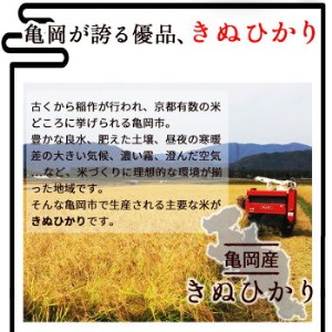 定期便 無洗米 5kg 6ヶ月 京都丹波産 キヌヒカリ 6回定期便 5kg ×6回 計30kg