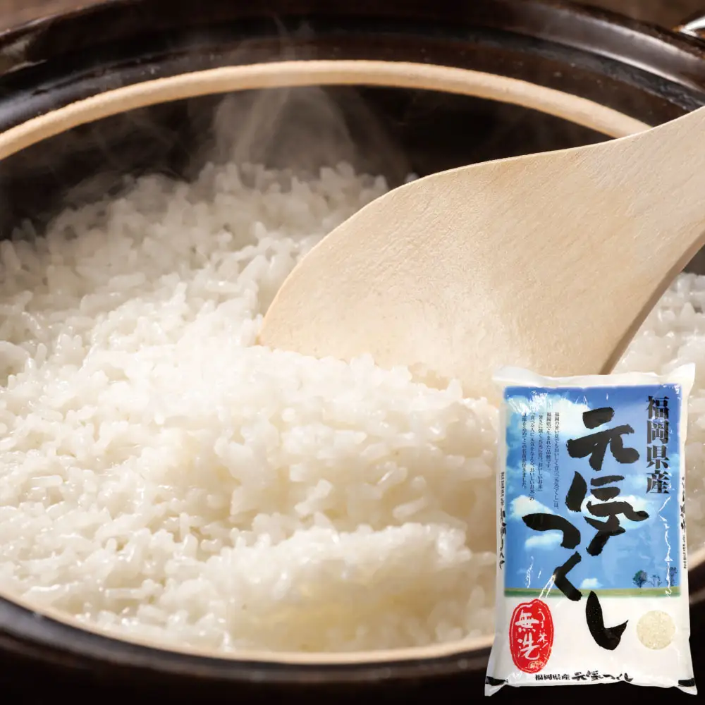 Z17-31 令和7年産 無洗米 元気つくし2kg