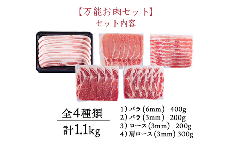 ソヤマポークの万能お肉セットTF0831-P00078